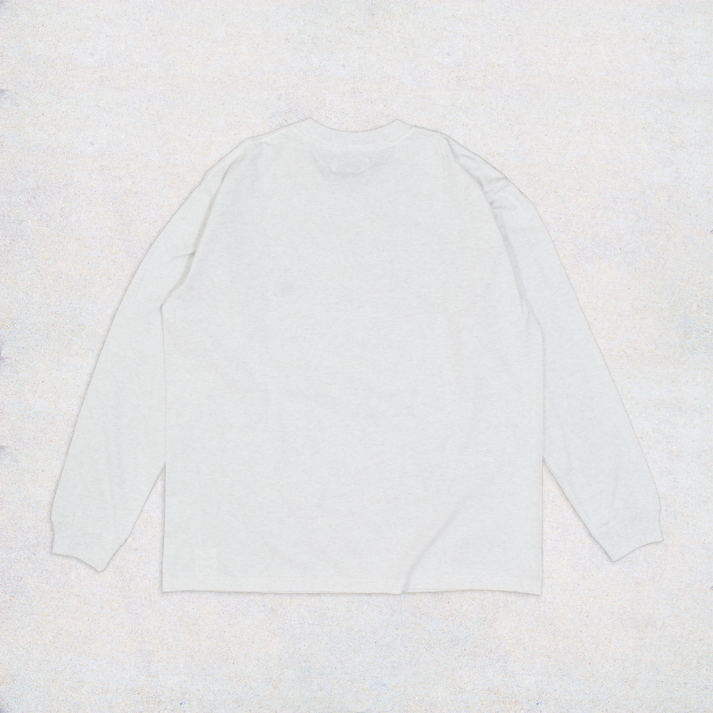 E FLAG LOGO L/S T-shirt